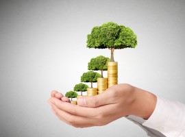 Wealth is a Two-Step Process