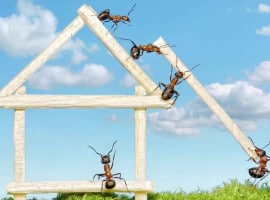 Is a building & pest inspection tax deductible?