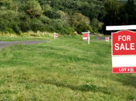 The intrinsic value of land