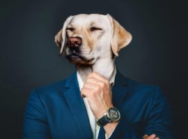 Ten things dogs can teach us about business…and life
